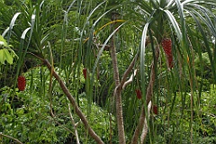 0834 Crystal Cascades